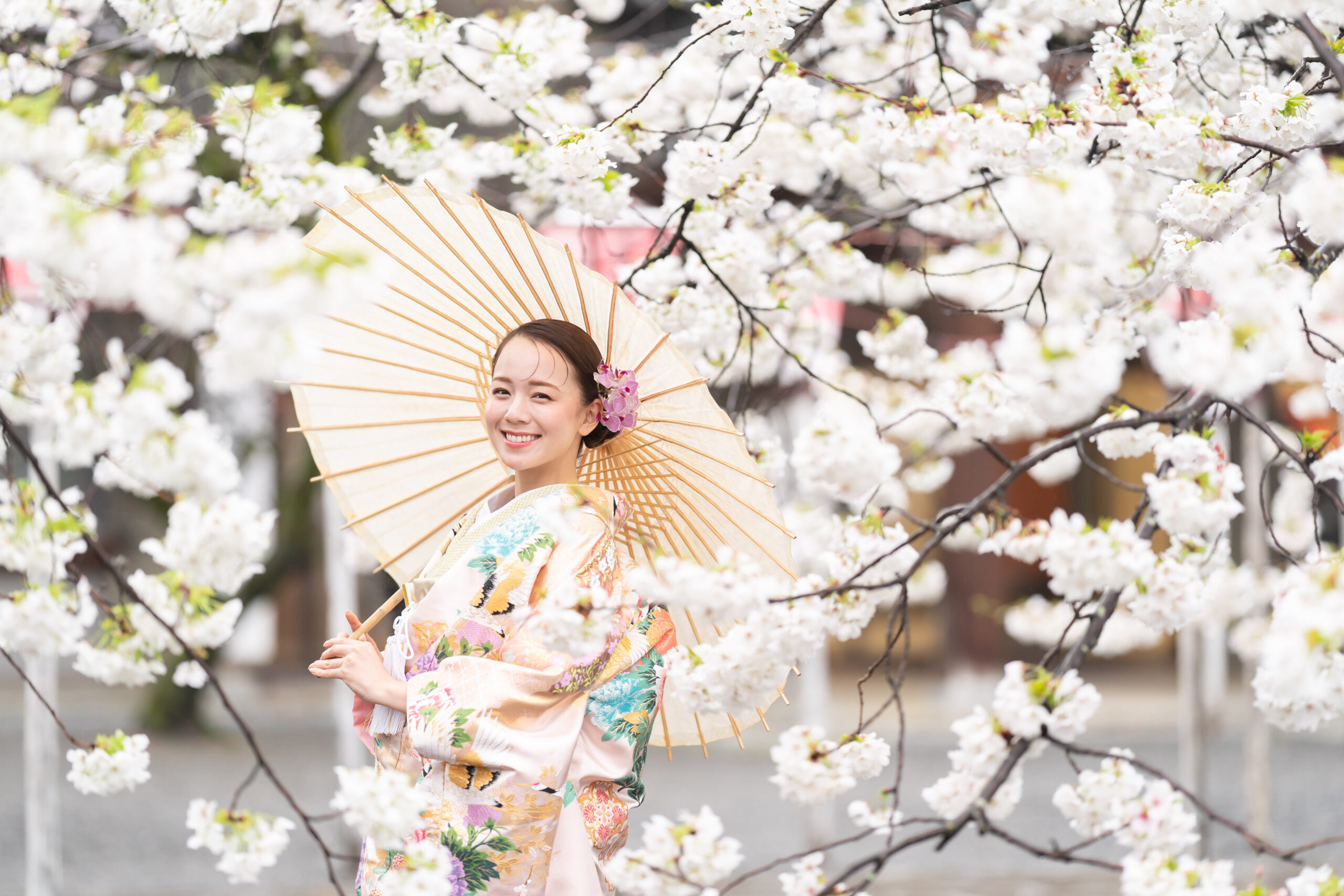 桜の下で撮影する新婦